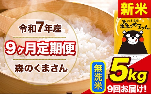 【9ヶ月定期便】新米 令和7年産 無洗米 定期便 森のくまさん 5kg 森くま 《お申込み翌月から出荷》熊本県産 単一原料米 森くま 熊本県 玉東町---mk7tei_112500_5kg_mo9_gkt_m---