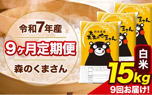 【9ヶ月定期便】令和7年産 白米 定期便 森のくまさん 15kg 森くま 《お申込み翌月から出荷》熊本県産 単一原料米 森くま 熊本県 玉東町---mk7tei_310500_15kg_mo9_gkt_h---