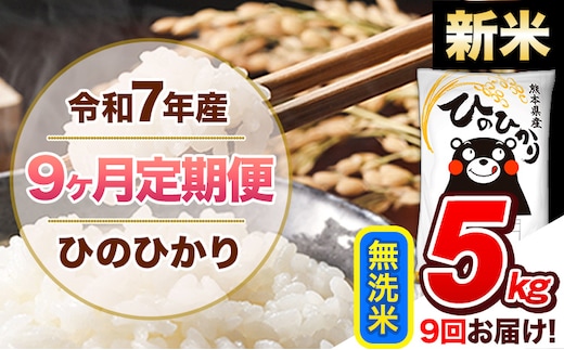 【9ヶ月定期便】新米 令和7年産 無洗米 定期便 ひのひかり 5kg 《お申込み翌月から出荷》 熊本県産 ふるさと納税 精米 ひの 米 こめ ふるさとのうぜい ヒノヒカリ コメ 熊本米 ひのもり---hn7tei_103500_5kg_mo9_gkt_m---