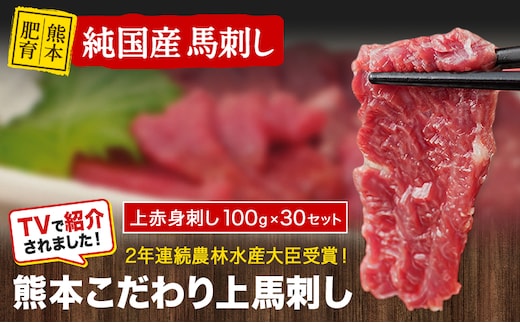 馬刺し 上赤身 ブロック 国産 熊本肥育 冷凍 生食用 たれ付き(10ml×30袋) 100g×30セット 肉 絶品 馬肉 小分け 平成27年28年 農林水産大臣賞受賞 熊本県玉東町《7-14日以内に出荷予定(土日祝除く)》---gkt_lcl_577_3000g---