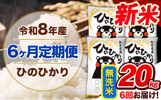 【6ヶ月定期便】令和8年産 新米 定期便 無洗米 ひのひかり 20kg 《12月から出荷開始》令和8年産 新米 熊本県産 ふるさと納税 精米 ひの 米 こめ ふるさとのうぜい ヒノヒカリ コメ 熊本米 ---gkt_lcl_816_dec6---