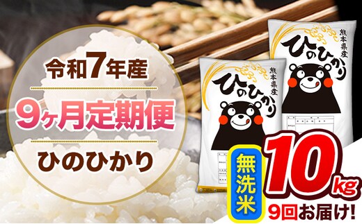【9ヶ月定期便】令和7年産 無洗米 定期便 ひのひかり 10kg 《お申込み翌月から出荷》 熊本県産 ふるさと納税 精米 ひの 米 こめ ふるさとのうぜい ヒノヒカリ コメ 熊本米 ひのもり---hn7tei_207000_10kg_mo9_gkt_m---