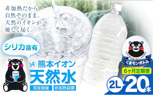 【6ヶ月定期便】熊本イオン純天然水 ラベルレス 2L×20本 《お申込み翌月から出荷》2l 水 飲料水 ナチュラルミネラルウォーター 熊本県 玉名郡 玉東町 完全国産 天然水 くまモン パッケージ---gkt_lcl_484_20h6tei---