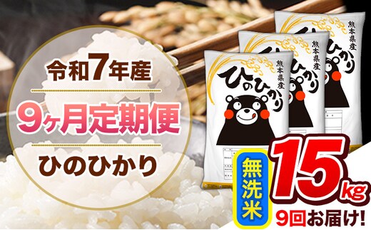 【9ヶ月定期便】令和7年産 無洗米 定期便 ひのひかり 15kg 《お申込み翌月から出荷》 熊本県産 ふるさと納税 精米 ひの 米 こめ ふるさとのうぜい ヒノヒカリ コメ 熊本米 ひのもり---hn7tei_310500_15kg_mo9_gkt_m---