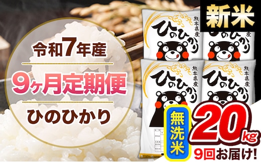 【9ヶ月定期便】新米 令和7年産 無洗米 定期便 ひのひかり 20kg 《お申込み翌月から出荷》 熊本県産 ふるさと納税 精米 ひの 米 こめ ふるさとのうぜい ヒノヒカリ コメ 熊本米 ひのもり---hn7tei_436500_20kg_mo9_gkt_m---