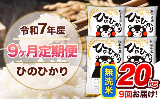 【9ヶ月定期便】令和7年産 無洗米 定期便 ひのひかり 20kg 《お申込み翌月から出荷》 熊本県産 ふるさと納税 精米 ひの 米 こめ ふるさとのうぜい ヒノヒカリ コメ 熊本米 ひのもり---hn7tei_414000_20kg_mo9_gkt_m---