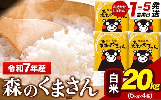 令和7年産 森のくまさん 20kg 5kg × 4袋 白米 熊本県産 単一原料米 森くま《1-5日以内に出荷予定(土日祝除く)》送料無料---gkt_lcl_599_20kg---
