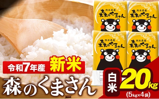 新米 令和7年産 森のくまさん 20kg 5kg × 4袋 白米 熊本県産 単一原料米 森くま《7-14日以内に出荷予定(土日祝除く)》送料無料---gkt_mk7_wx_46000_20kg_h---