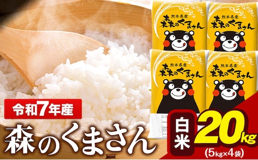 令和7年産 森のくまさん 20kg 5kg × 4袋 白米 熊本県産 単一原料米 森くま《7-14日以内に出荷予定(土日祝除く)》---gkt_lcl_717_20kg---