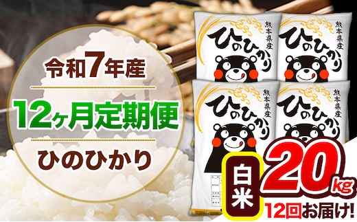 【12ヶ月定期便】令和7年産 定期便 ひのひかり20kg 《お申込み翌月から出荷》令和7年産 熊本県産 ふるさと納税 白米 精米 ひの 米 こめ ふるさとのうぜい ヒノヒカリ コメ 熊本米 ひのもり---hn7tei_510000_20kg_mo12_gkt_h---