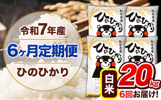 【6ヶ月定期便】令和7年産 定期便 ひのひかり20kg 《お申込み翌月から出荷》令和7年産 熊本県産 ふるさと納税 白米 精米 ひの 米 こめ ふるさとのうぜい ヒノヒカリ コメ 熊本米 ひのもり---hn7tei_255000_20kg_mo6_gkt_h---