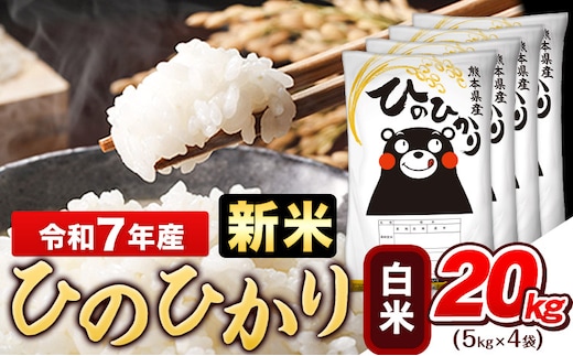 令和7年産 新米 ひのひかり 白米 20kg (5kg×4袋)《7-14日以内に出荷予定(土日祝除く)》熊本県産 ひの 白米 精米 米 こめ ヒノヒカリ コメ お米 おこめ---gkt_hn7_wx_46000_20kg_h---