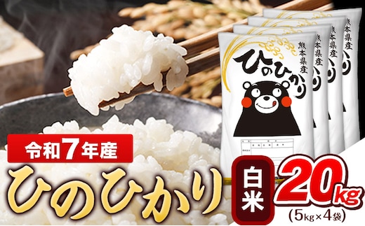 令和7年産 ひのひかり 白米 20kg (5kg×4袋)《7-14日以内に出荷予定(土日祝除く)》熊本県産 ひの 白米 精米 米 こめ ヒノヒカリ コメ お米 おこめ---gkt_hn7_wx_46000_20kg_h---