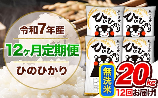 【12ヶ月定期便】令和7年産 定期便 無洗米 ひのひかり 20kg 《お申込み翌月から出荷》令和7年産 熊本県産 ふるさと納税 精米 ひの 米 こめ ふるさとのうぜい ヒノヒカリ コメ 熊本米 ひのもり---hn7tei_510000_20kg_mo12_gkt_m---