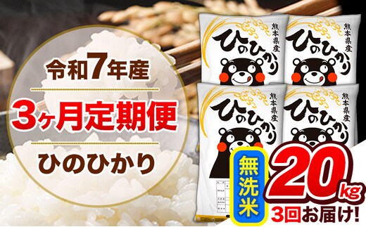 【3ヶ月定期便】令和7年産 定期便 無洗米 ひのひかり 20kg 《お申込み翌月から出荷》令和7年産 熊本県産 ふるさと納税 精米 ひの 米 こめ ふるさとのうぜい ヒノヒカリ コメ 熊本米 ひのもり---hn7tei_127500_20kg_mo3_gkt_m---
