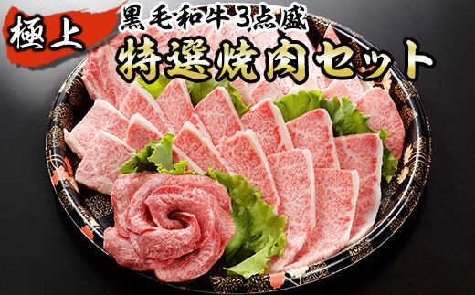 黒毛和牛 極上特選焼肉セット 計750g