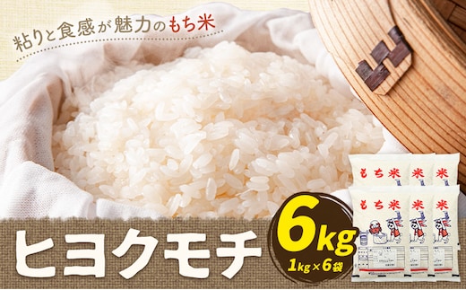 令和7年産 南関産 ヒヨクモチ もち米 6kg 有限会社花見商店《7-14日以内に出荷予定(土日祝除く)》熊本県 南関町 正月 雑煮 餅 お米 マイスター---nankan_hnm_10_6kg---