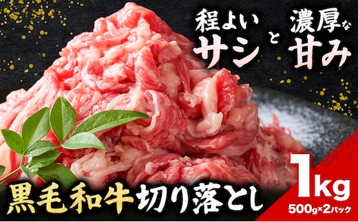 黒毛和牛切り落とし 1kg (500g×2パック) 高椋畜産《60日以内に出荷予定(土日祝除く)》熊本県 南関町 牛肉 和牛 黒毛和牛 国産牛 お肉 切り落とし 小分け 個包装 冷凍---nankan_ntm_8_1kg---