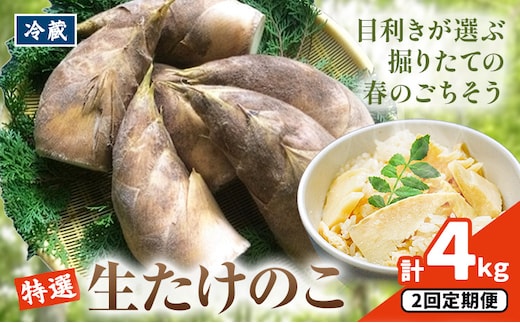 ＼米ぬか付き／先行受付 令和9年産 特選生たけのこ 食べ比べ 2kg×2回《3月中旬-4月中旬頃出荷》熊本県産 南関 タケノコ 筍 竹の子 掘りたて 採れたて 春 野菜 国産 新鮮 炊き込みご飯 土佐煮 メンマ 産地直送 古賀商店 ふるさと納税 熊本 たけのこ---nankan_kgs_6_2kg_mo2---