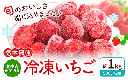 冷凍いちご ゆうべに 1kg 福本農園《60日以内出荷予定(土日祝除く)》熊本県 南関町 苺 イチゴ 冷凍 果物 フルーツ 国産 熊本 南関 デザート スムージー かき氷 ヨーグルト 朝採り 旬 小分け 500g 加工用 おやつ 保存---nankan_fkm_2_1kg---