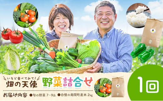 野菜 詰合せ 7～9品 米 2kg 1回《60日以内に出荷予定(土日祝除く)》 畑の天使 いちど食べてみて「畑の天使」野菜 米 安全安心 おまかせ 詰め合わせ セット 旬の野菜 ボリューム 季節 生産者 フレッシュ サラダ 熊本県 南関町---nankan_hkt_1_7s2kg---