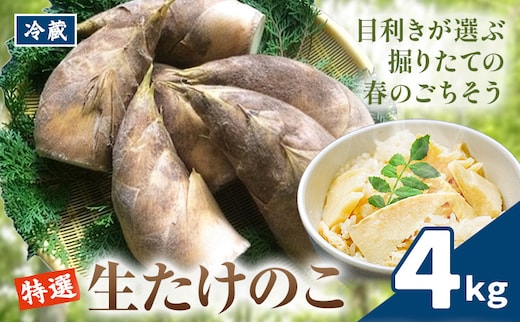 ＼米ぬか付き／先行受付 令和9年産 特選生たけのこ 4kg《3月下旬-4月下旬頃出荷》熊本県産 南関 タケノコ 筍 竹の子 掘りたて 採れたて 春 野菜 国産 新鮮 炊き込みご飯 土佐煮 メンマ 産地直送 古賀商店 ふるさと納税 熊本 たけのこ---nankan_kgs_8_4kg---
