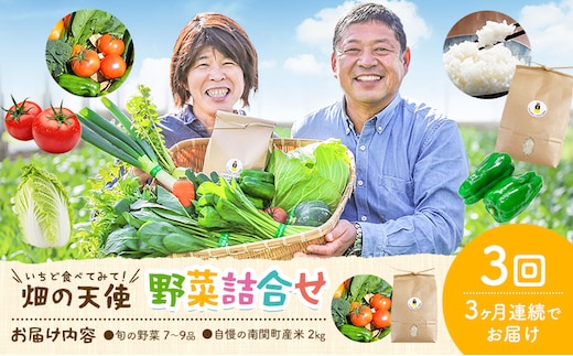 【3ヶ月定期便】野菜 詰合せ 7～9品 米 2kg 3回《お申込み翌月から出荷》 畑の天使 いちど食べてみて「畑の天使」野菜 米 安全安心 おまかせ 詰め合わせ セット 旬の野菜 ボリューム 季節 生産者 フレッシュ サラダ 熊本県 南関町---nankan_hkt_2_3mo---