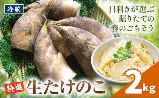 ＼米ぬか付き／先行受付 令和9年産 特選生たけのこ 2kg《3月中旬-4月上旬頃出荷》熊本県産 南関 タケノコ 筍 竹の子 掘りたて 採れたて 春 野菜 国産 新鮮 炊き込みご飯 土佐煮 メンマ 産地直送 古賀商店 ふるさと納税 熊本 たけのこ---nankan_kgs_7_2kg---