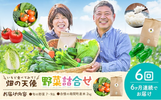 【6ヶ月定期便】野菜 詰合せ 7～9品 米 2kg 6回《お申込み翌月から出荷》 畑の天使 いちど食べてみて「畑の天使」野菜 米 安全安心 おまかせ 詰め合わせ セット 旬の野菜 ボリューム 季節 生産者 フレッシュ サラダ 熊本県 南関町---nankan_hkt_3_6mo---