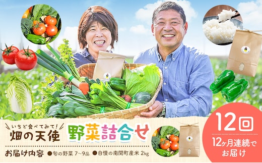 【12ヶ月定期便】野菜 詰合せ 7～9品 米 2kg 12回《お申込み翌月から出荷》 畑の天使 いちど食べてみて「畑の天使」野菜 米 安全安心 おまかせ 詰め合わせ セット 旬の野菜 ボリューム 季節 生産者 フレッシュ サラダ 熊本県 南関町---nankan_hkt_4_12mo---