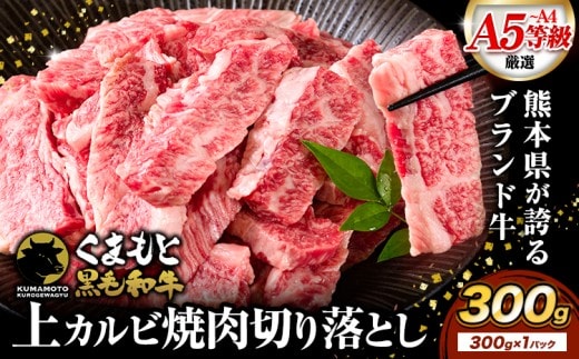 くまもと黒毛和牛 上 カルビ 焼肉 切り落とし 300g 《30日以内に出荷予定(土日祝除く)》熊本県 南関町 上カルビ 焼肉用 黒毛和牛 焼肉 肉 お肉 和牛 A5 A4 300g 小分け---nankan_lcl_455---