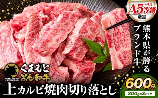 くまもと黒毛和牛 上 カルビ 焼肉 切り落とし 600g 《30日以内に出荷予定(土日祝除く)》熊本県 南関町 上カルビ 焼肉用 黒毛和牛 焼肉 肉 お肉 和牛 A5 A4 300g 小分け---nankan_lcl_456---