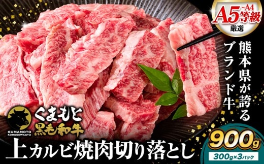 くまもと黒毛和牛 上 カルビ 焼肉 切り落とし 900g 《30日以内に出荷予定(土日祝除く)》熊本県 南関町 上カルビ 焼肉用 黒毛和牛 焼肉 肉 お肉 和牛 A5 A4 300g 小分け---nankan_lcl_457---