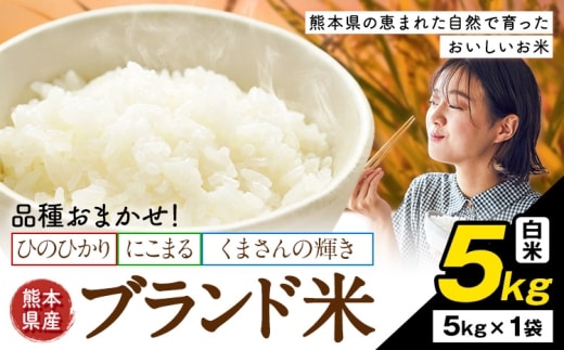 米 南関町 単一原料米 (ひのひかりorにこまるorくまさんの輝き) 白米 5kg《7-14日以内に出荷予定(土日祝除く)》熊本県産 国産 ひのひかり 白米 精米 こめ コメ 5キロ---nankan_lcl_698_5kg---