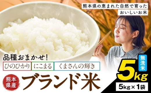米 南関町 単一原料米 (ひのひかりorにこまるorくまさんの輝き) 無洗米 5kg《7-14日以内に出荷予定(土日祝除く)》熊本県産 国産 ひのひかり 無洗米 こめ コメ 5キロ---nankan_lcl_699_5kg---