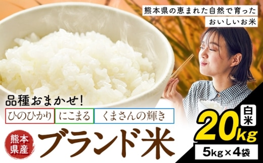 米 南関町 単一原料米 (ひのひかりorにこまるorくまさんの輝き) 白米 20kg《7-14日以内に出荷予定(土日祝除く)》熊本県産 国産 ひのひかり 白米 精米 こめ コメ 20キロ---nankan_lcl_702_20kg---