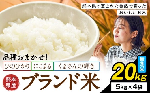 米 南関町 単一原料米 (ひのひかりorにこまるorくまさんの輝き) 無洗米 20kg《7-14日以内に出荷予定(土日祝除く)》熊本県産 国産 ひのひかり 無洗米 こめ コメ 20キロ---nankan_lcl_703_20kg---