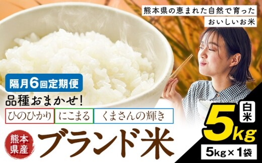 【隔月6回定期便】米 南関町 単一原料米 (ひのひかりorにこまるorくまさんの輝き) 白米 5kg《申込みの翌月から出荷開始》熊本県産 国産 ひのひかり 白米 精米 こめ コメ 5キロ---nankan_lcl_710_ev2mo6tei---