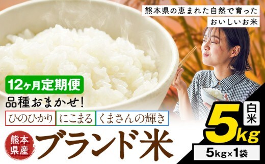 【12ヶ月定期便】米 南関町 単一原料米 (ひのひかりorにこまるorくまさんの輝き) 白米 5kg《申込みの翌月から出荷開始》熊本県産 国産 白米 こめ コメ 5キロ---nankan_lcl_704_mo12_tei---