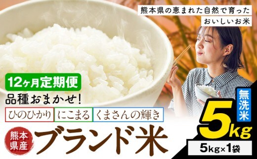【12ヶ月定期便】米 南関町 単一原料米 (ひのひかりorにこまるorくまさんの輝き) 無洗米 5kg《申込みの翌月から出荷開始》熊本県産 国産 無洗米 こめ コメ 5キロ---nankan_lcl_705_mo12_tei---
