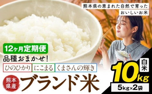 【12ヶ月定期便】米 南関町 単一原料米 (ひのひかりorにこまるorくまさんの輝き) 白米 10kg《申込みの翌月から出荷開始》熊本県産 国産 白米 こめ コメ 10キロ---nankan_lcl_706_mo12_tei---