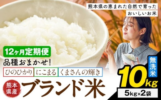 【12ヶ月定期便】米 南関町 単一原料米 (ひのひかりorにこまるorくまさんの輝き) 無洗米 10kg《申込みの翌月から出荷開始》熊本県産 国産 無洗米 こめ コメ 10キロ---nankan_lcl_707_mo12_tei---