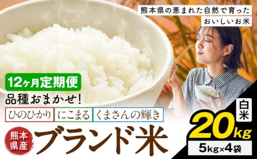 【12ヶ月定期便】米 南関町 単一原料米 (ひのひかりorにこまるorくまさんの輝き) 白米 20kg《申込みの翌月から出荷開始》熊本県産 国産 白米 こめ コメ 20キロ---nankan_lcl_708_mo12_tei---
