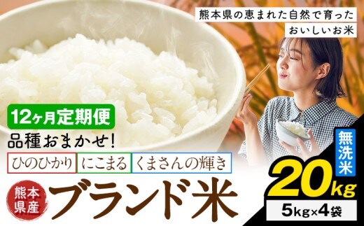 【12ヶ月定期便】米 南関町 単一原料米 (ひのひかりorにこまるorくまさんの輝き) 無洗米 20kg《申込みの翌月から出荷開始》熊本県産 国産 無洗米 こめ コメ 20キロ---nankan_lcl_709_mo12_tei---