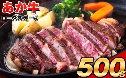 あか牛（褐毛和種）ロースステーキ (リブまたはサーロイン) 250g×2 500g 熊本県産 肉 和牛 牛肉 赤牛 あかうし リブロース サーロイン 冷凍 《4月上旬-4月末頃出荷予定》送料無料---ng_fakasteak_ac4_r7_15000_500g---