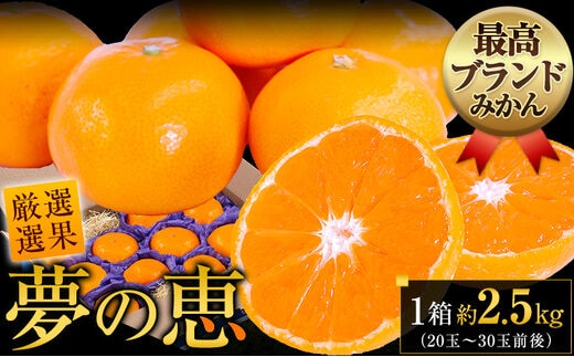 夢の恵 みかん 約2.5kg(20玉～30玉前後) 熊本県産 （長洲町産含む） 糖度12度以上 ブランドみかん ブランド 贈答用 贈り物《11月上旬-12月末頃出荷》 熊本県 長洲町---ng_yumemi_af11_r7_8000_2kg---