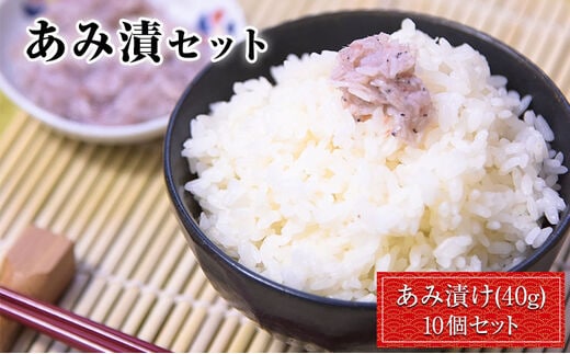 あみ漬10個セット 内野海産《45日以内に出荷予定(土日祝除く)》---sn_cuchiami_45d_26_12000_10p---
