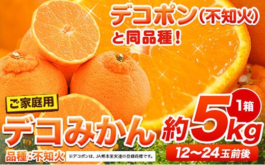 訳あり デコみかん 約5kg 12～24玉前後《2026年2月上旬-4月末頃出荷》デコポン（不知火）と同品種 ご家庭用 熊本県産 (長洲町産含む) 訳あり デコ 柑橘 フルーツ 旬---ng_dkmkn_af24_r7_12500_5kg---