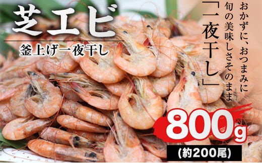 海老 釜揚げ一夜干し 芝えび(800g)約200尾 内野海産《45日以内に出荷予定(土日祝除く)》---sn_fuchiebi_45d_r7_13000_800g---