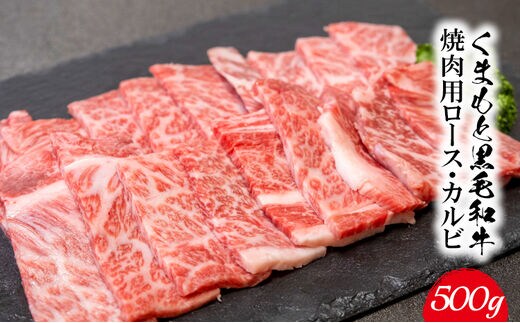 くまもと黒毛和牛 焼肉用ロース・カルビ 500g 《60日以内に出荷予定(土日祝除く)》 熊本県 長洲町 くまもと黒毛和牛 黒毛和牛 牛肉 肉 焼き肉 株式会社 羽根(出荷元：株式会社酒湊)---sn_fhnroka_60d_r7_14500_500g---